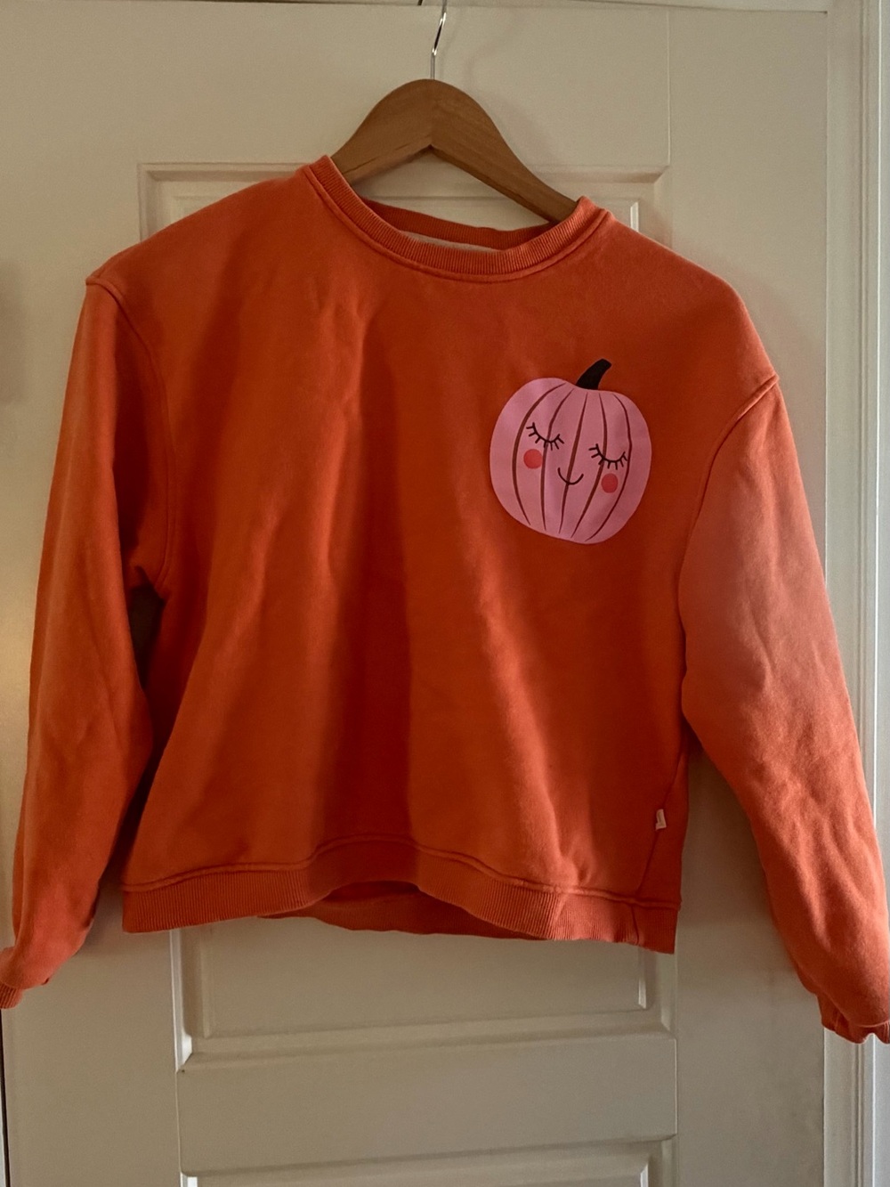 Kids Orange Crewneck Sweatshirt with Pink Pumpkin Graphic